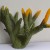Spalvotas koralas (pilkas), 22x15.5x12.5 cm